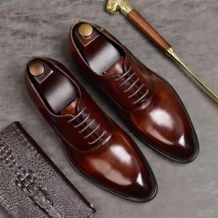 Brown Shoe 2